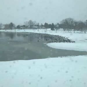 Meet your Posher, Tyler